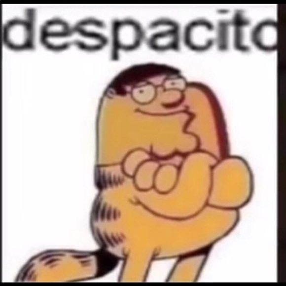 Meet your Posher, Karol - Picture 1 of 1